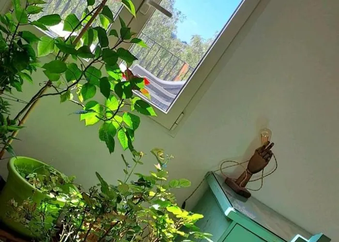Séjour chez l'habitant Stanza In Superattico, Terrazzato, Luminoso, Accogliente, Bagno Privato *